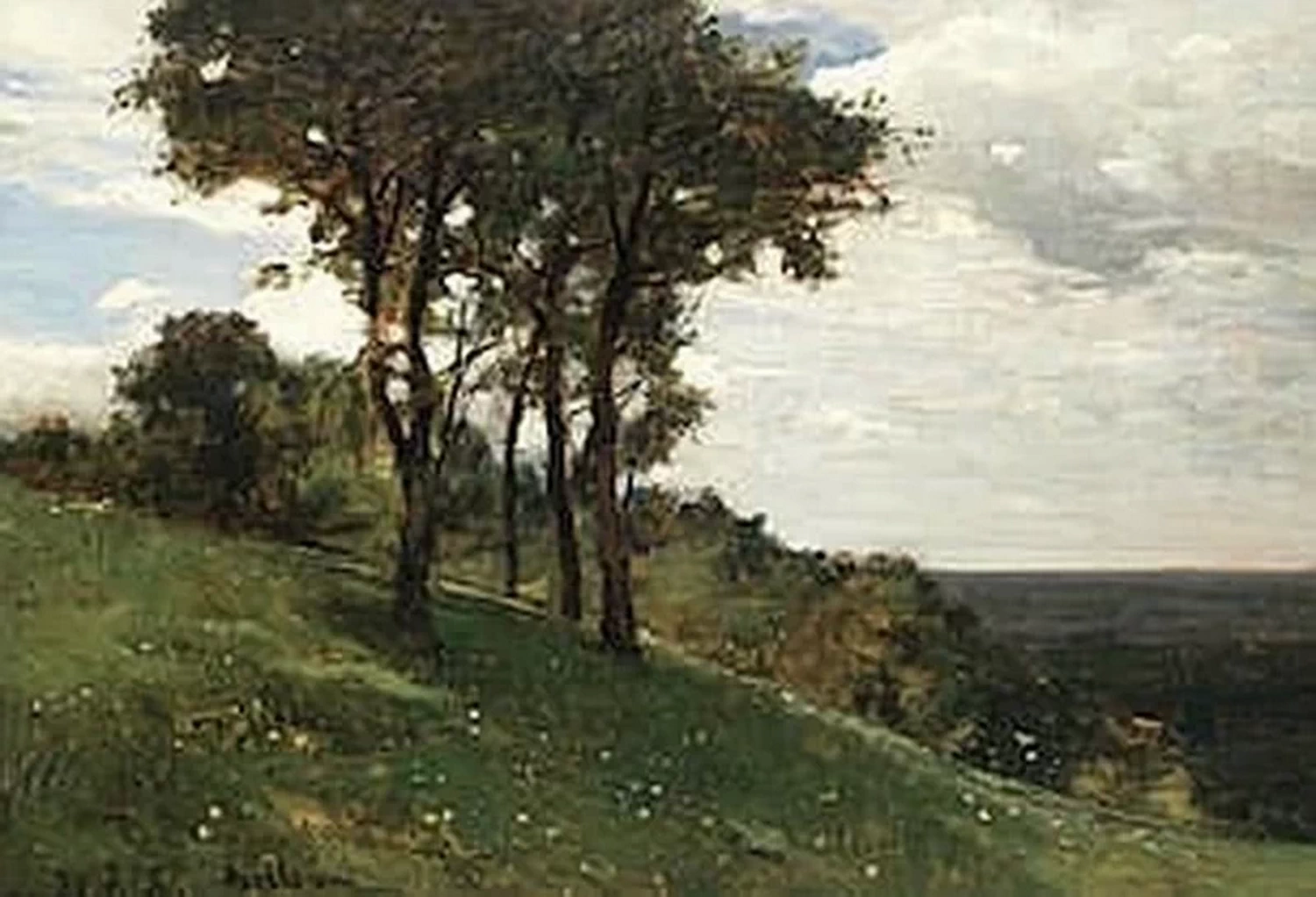 Paesaggio con alberi